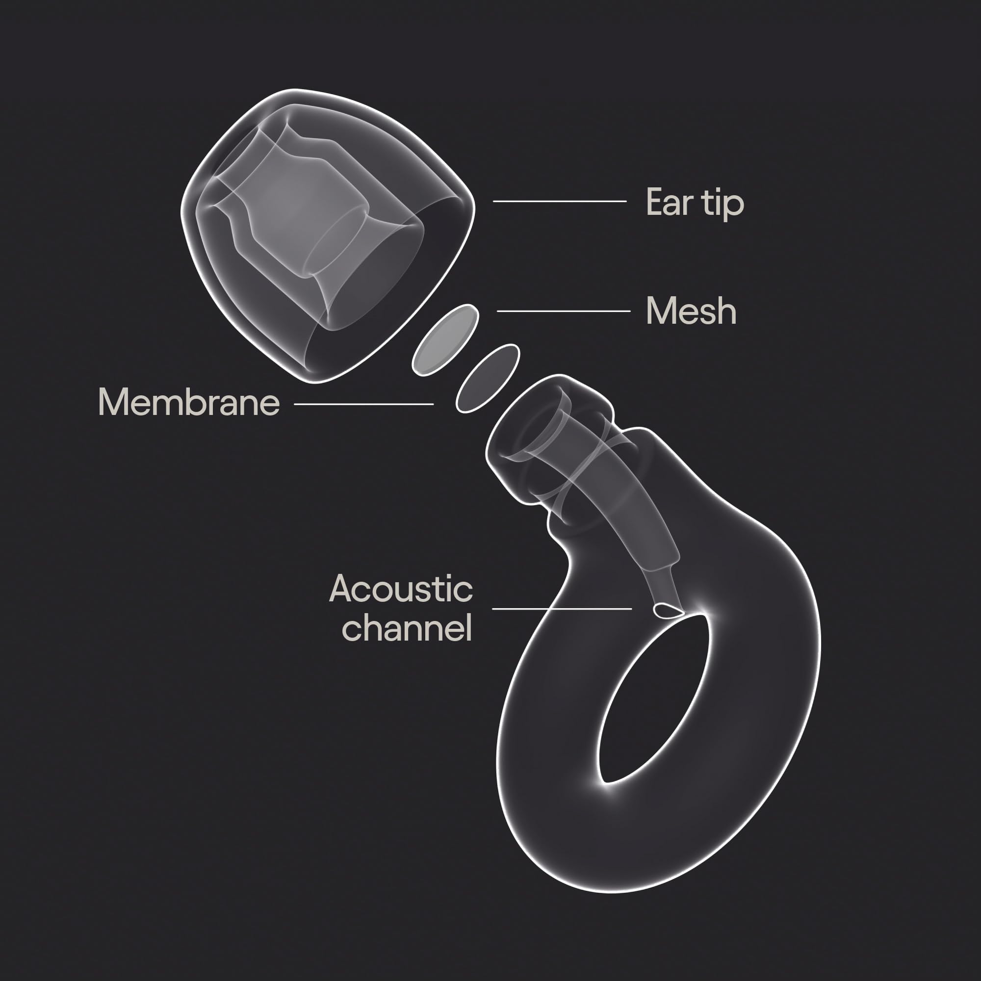 Loop Tomorrowland x Experience 2 Earplugs Stylish Hearing Protection For Concerts & Festivals,Live Music,Nightlife & Musicians 17dB Noise Reduction Ear Plugs (High-Fidelity) Limited Edition